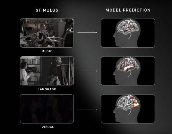 Meta’s TRIBE v2 is designed to predict how the brain processes images, sounds, and speech.