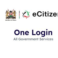 Ecitizen login interface