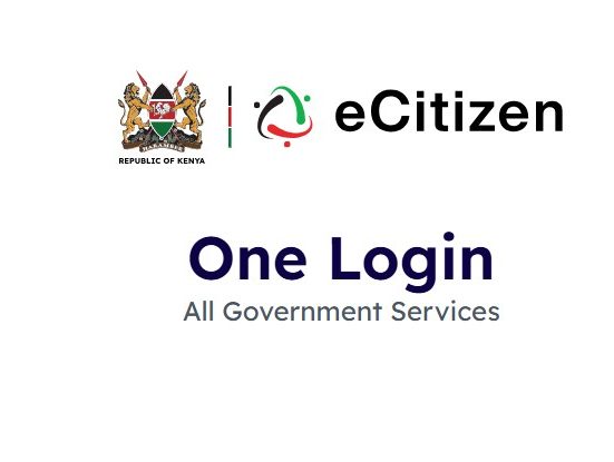 Ecitizen login interface